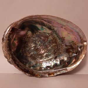 ABALONE SHELL Smudge